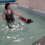 treatment in the hydrotherapy pool